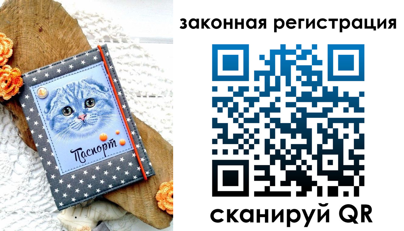 регистрация в Вельске